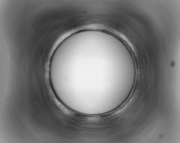 X0000099931421200805230950