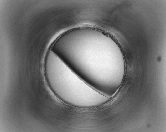 X0000099931422200805230950