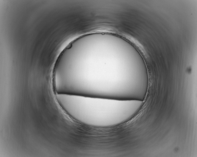 X0000099931423200805230950