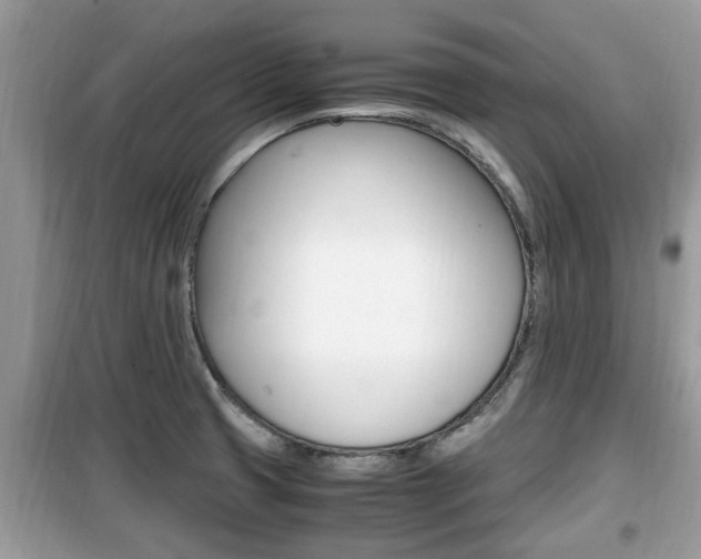 X0000099931425200805230950