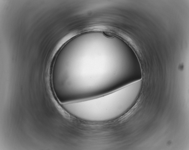 X0000099931426200805230950