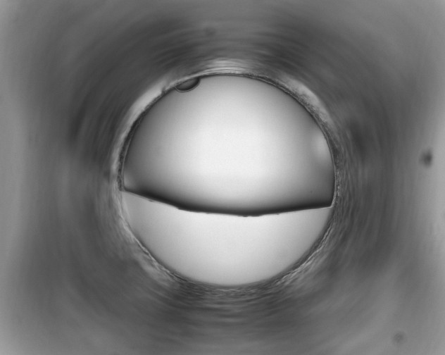 X0000099931427200805230950