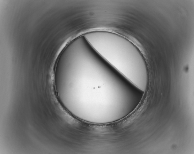 X0000099931428200805230950