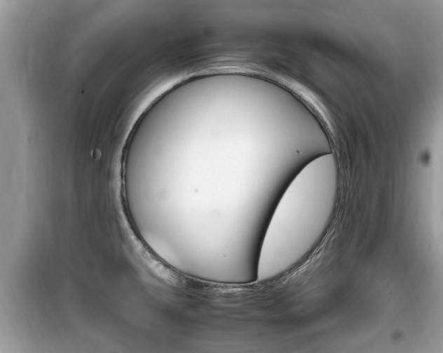 X0000099931431200805230950
