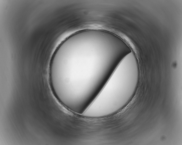 X0000099931432200805230950