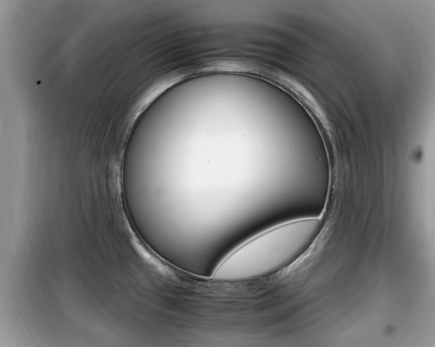 X0000099931433200805230950