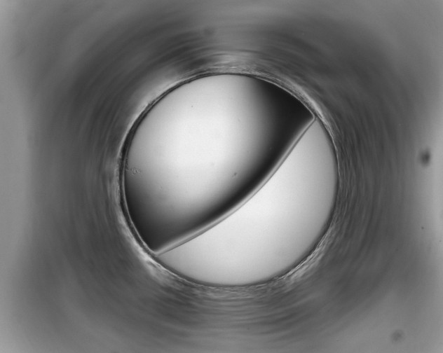 X0000099931434200805230950
