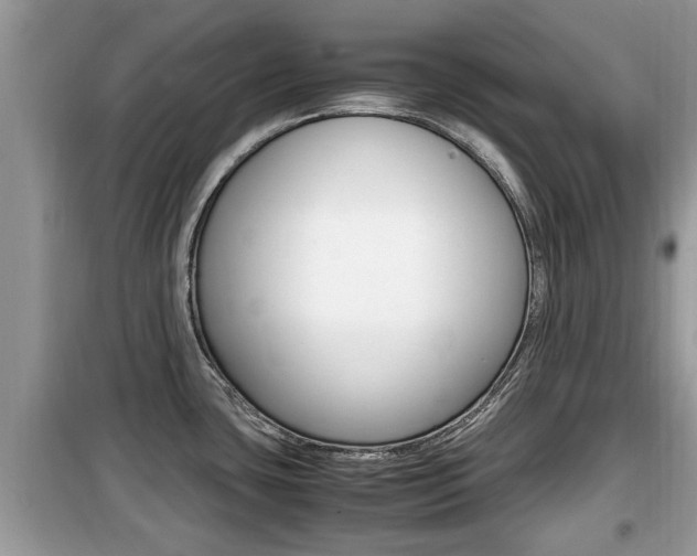 X0000099931435200805230950