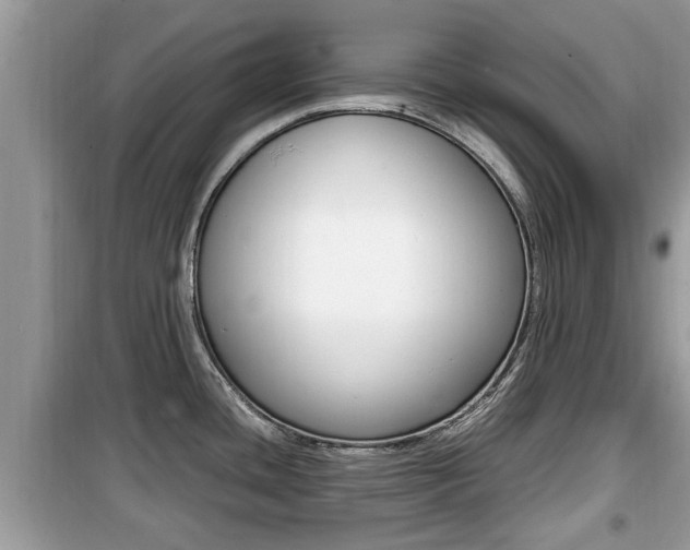 X0000099931436200805230950