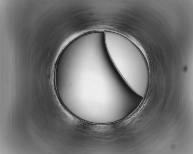 X0000099931437200805230950