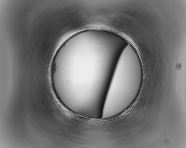 X0000099931440200805230950