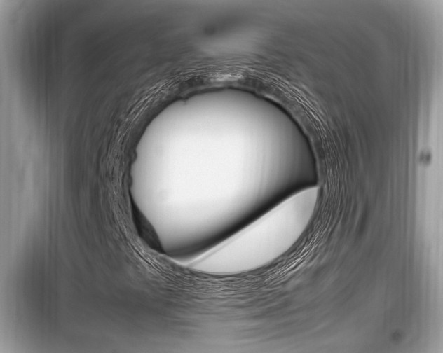 X0000099931441200805230949