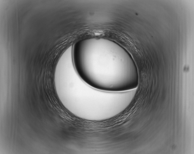 X0000099931442200805230949
