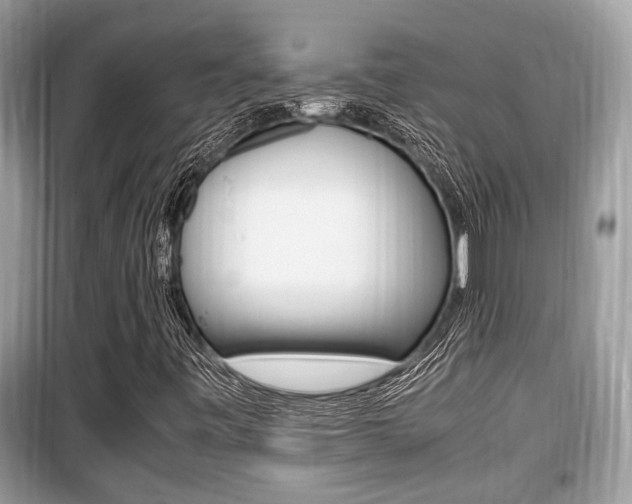 X0000099931443200805230949