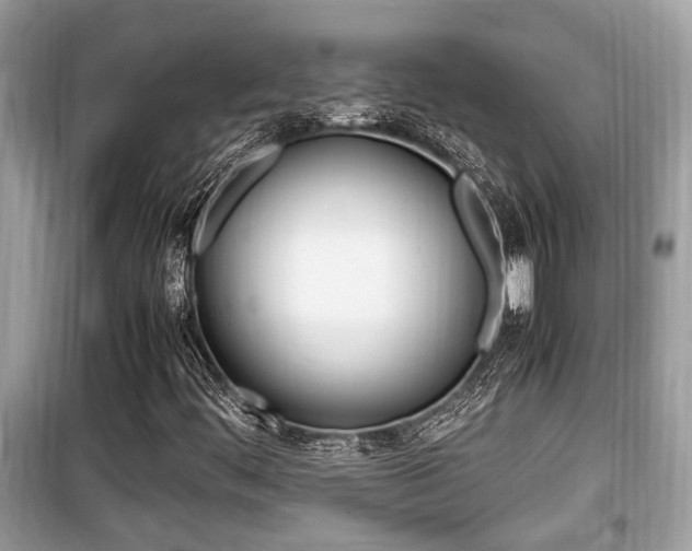 X0000099931444200805230949