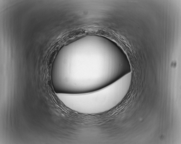 X0000099931445200805230949