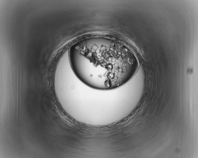 X0000099931448200805230949