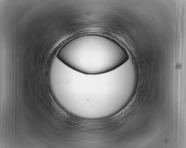 X0000099931450200805230949