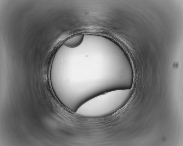 X0000099931451200805230949