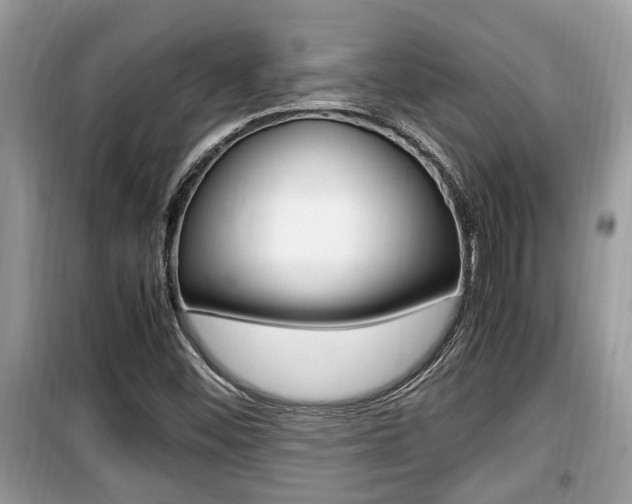 X0000099931452200805230949
