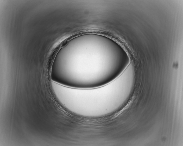 X0000099931453200805230949