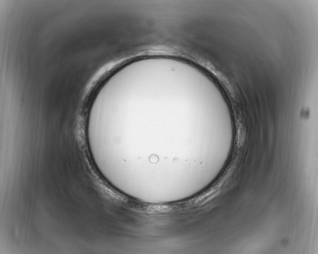 X0000099931454200805230949
