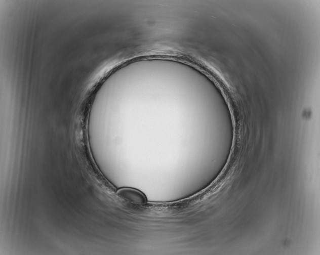 X0000099931455200805230949