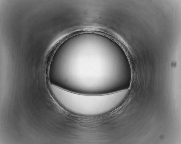 X0000099931456200805230949