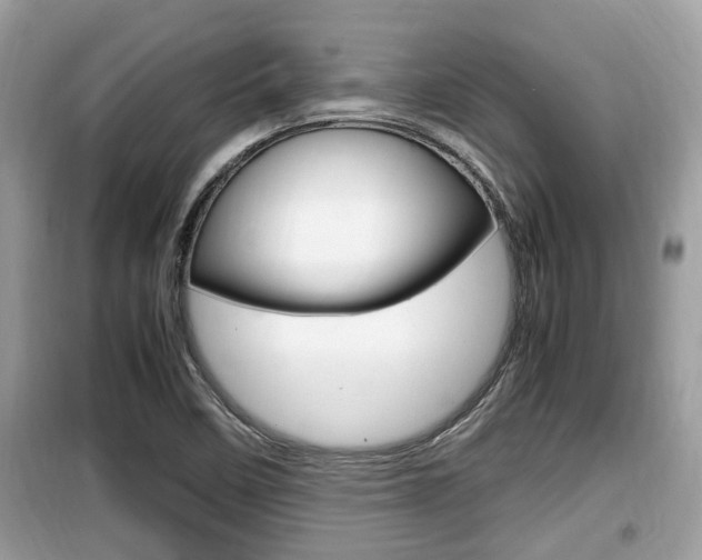 X0000099931458200805230949