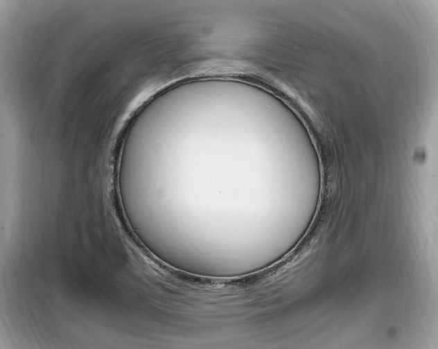X0000099931459200805230949