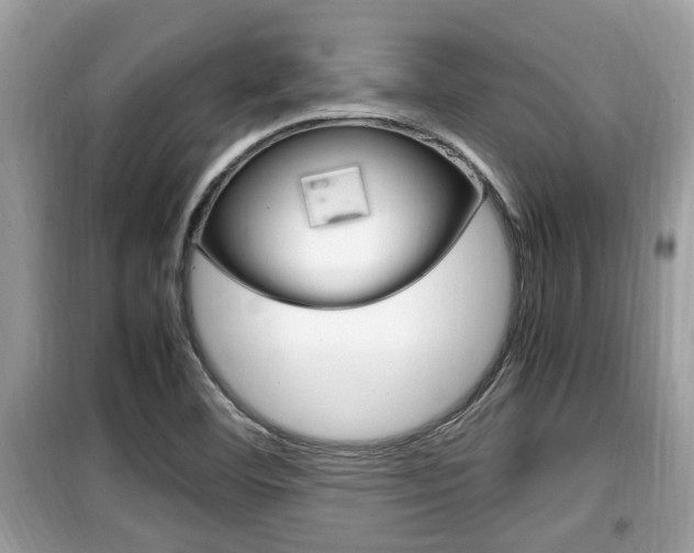 X0000099931460200805230949