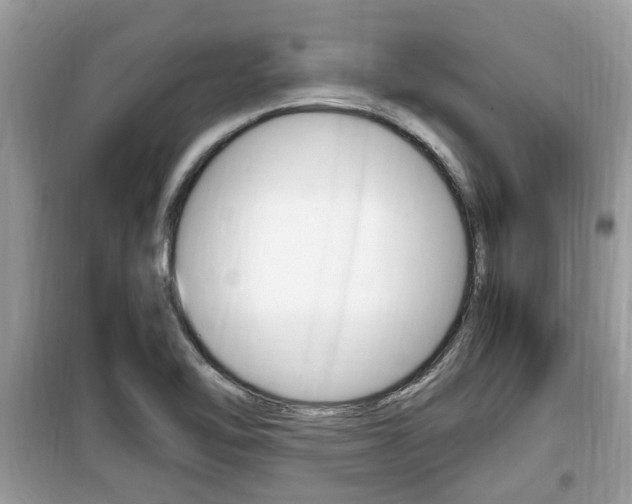 X0000099931462200805230949