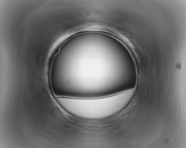 X0000099931464200805230949
