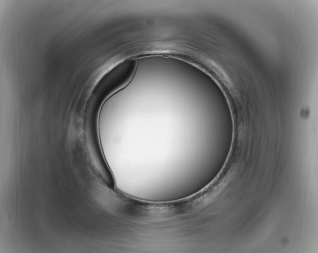 X0000099931465200805230949