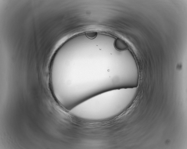 X0000099931467200805230949