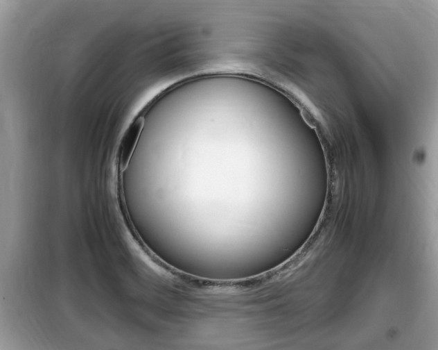 X0000099931468200805230949