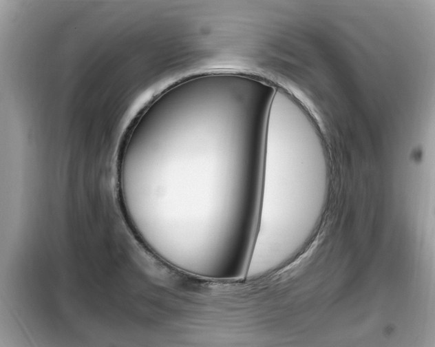 X0000099931469200805230949