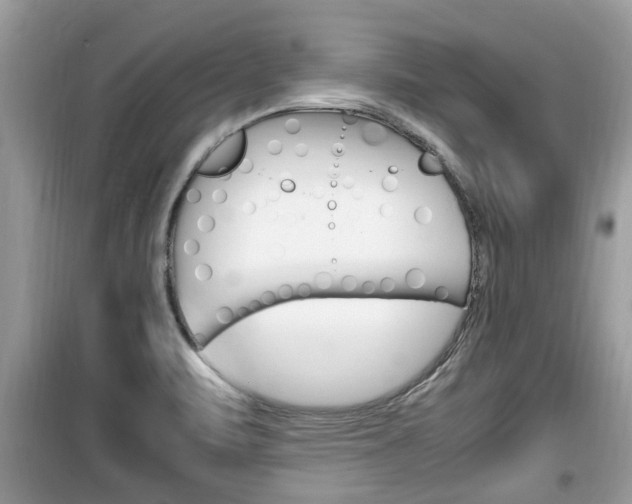 X0000099931471200805230949