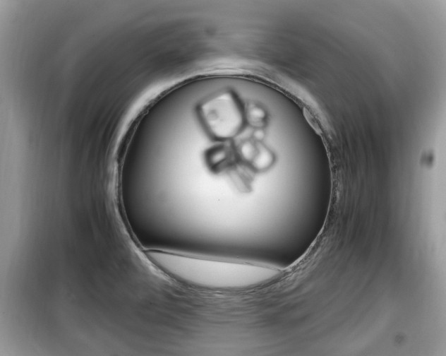 X0000099931472200805230949