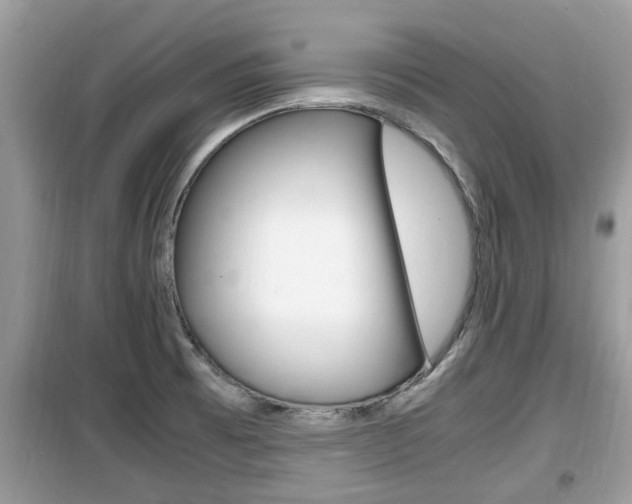 X0000099931473200805230949