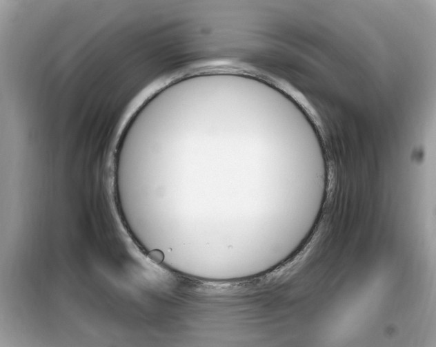 X0000099931474200805230949