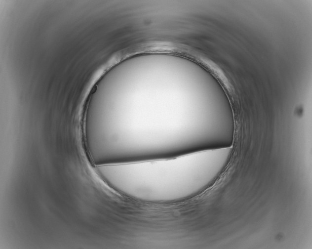 X0000099931475200805230949
