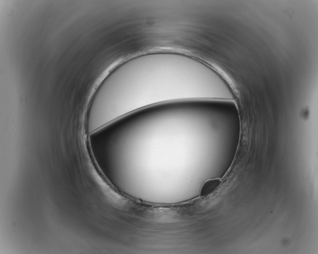 X0000099931476200805230949