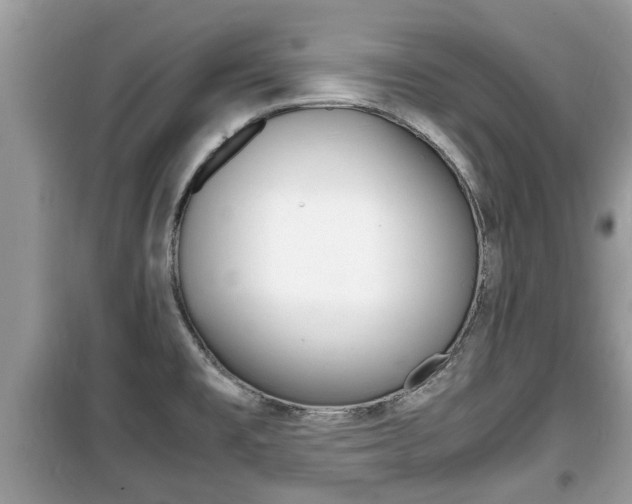 X0000099931477200805230949