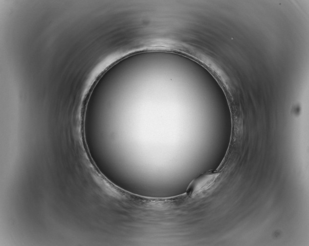 X0000099931480200805230949