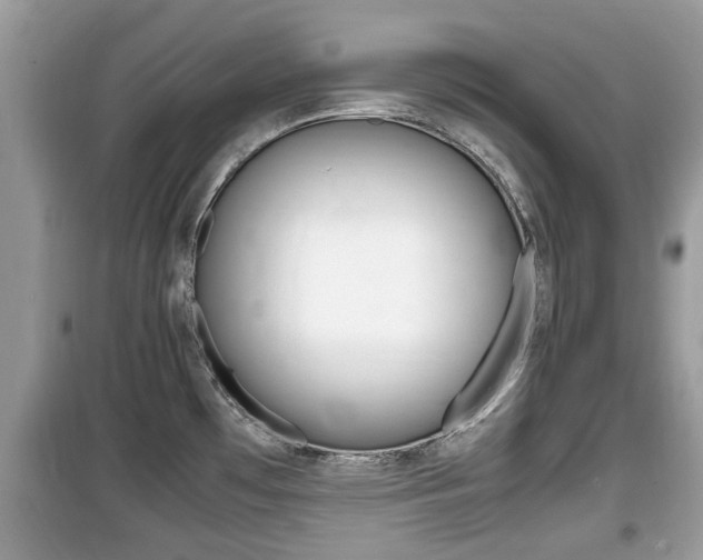 X0000099931481200805230949