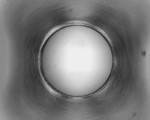 X0000099931482200805230949