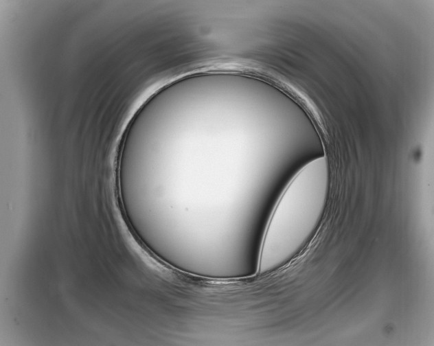 X0000099931483200805230949
