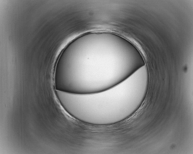 X0000099931485200805230949