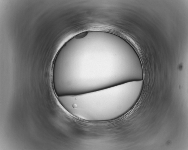 X0000099931487200805230949
